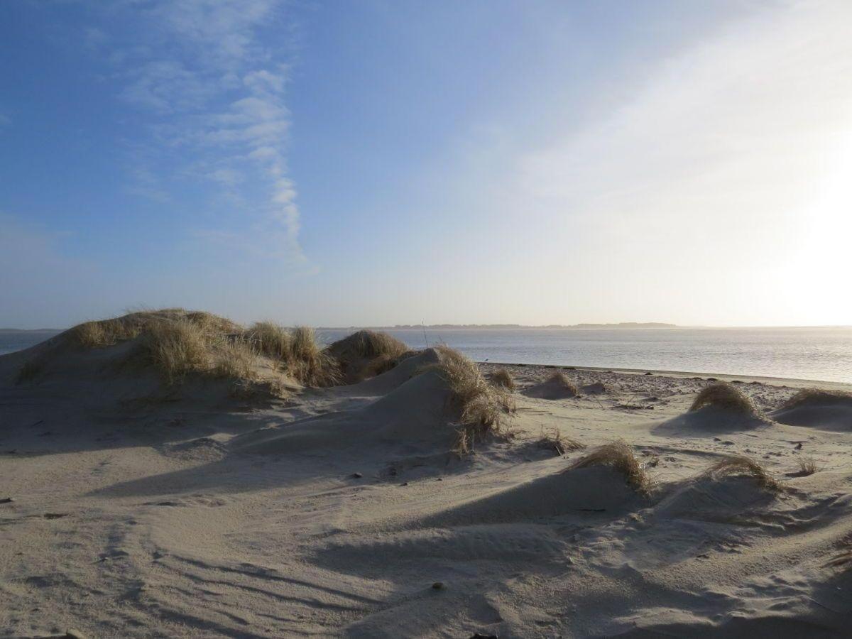 Friedrichs-1 Lägenhet Nebel Exteriör bild
